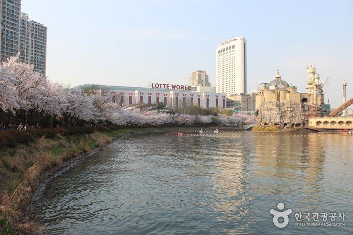 Summary of South Korea April Celebrations